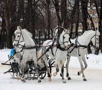 Russian Troika